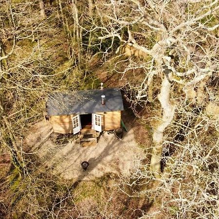 Bluebell Shepherds Hut Rolvenden 外观 照片